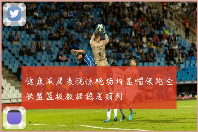 健康浓眉表现惊艳场均盖帽领跑全联盟篮板数据稳居前列