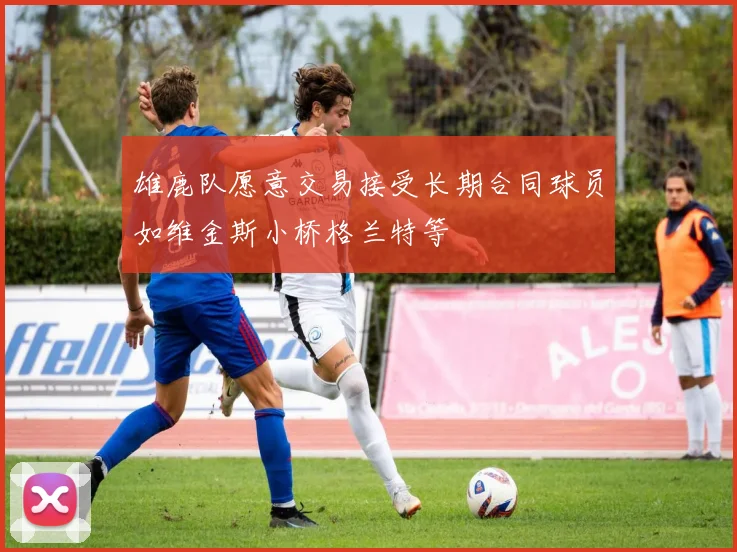 雄鹿队愿意交易接受长期合同球员如维金斯小桥格兰特等